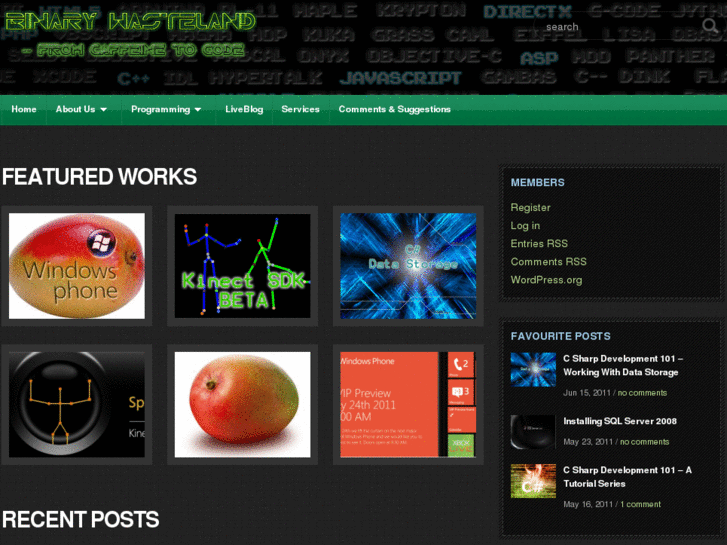 www.binarywasteland.com