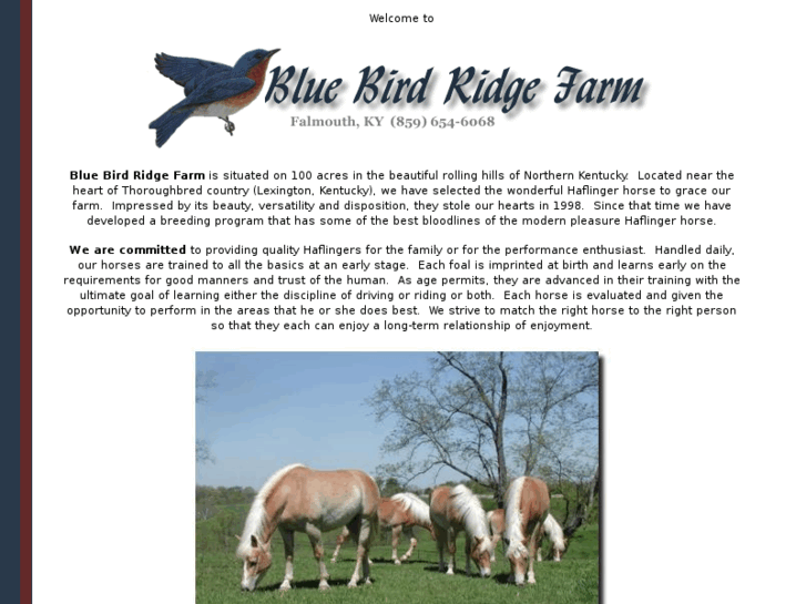 www.bluebirdridgefarm.com