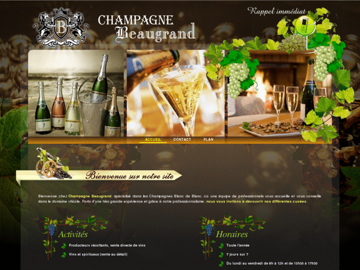 www.champagne-beaugrand-10.com