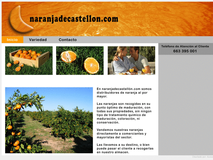 www.naranjadecastellon.com