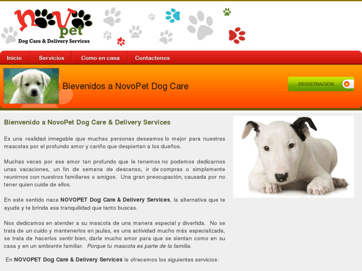 www.novopetcare.com