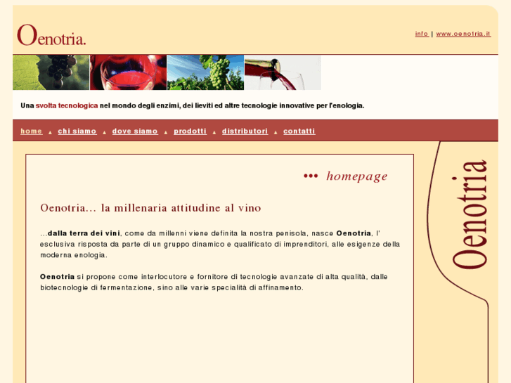 www.oenotria.it