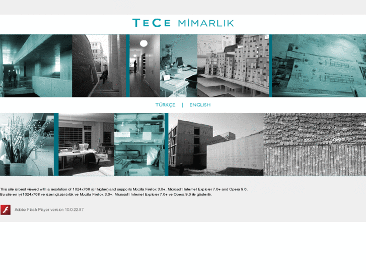 www.tecemimarlik.com