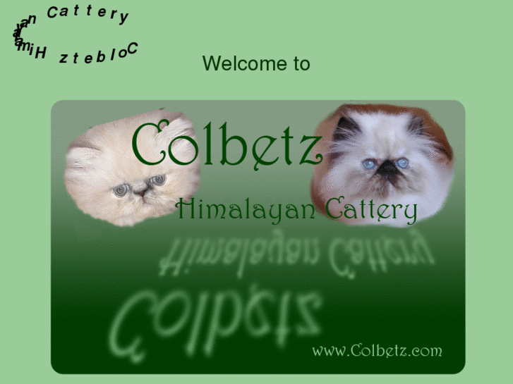 www.colbetz.com