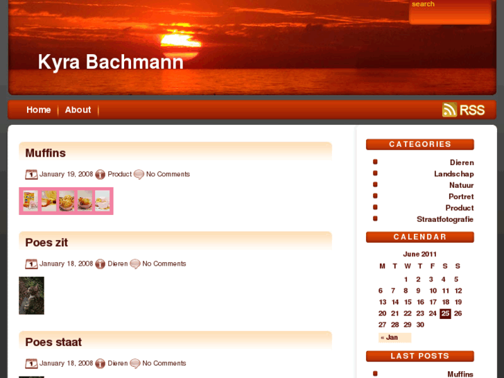 www.kyra-bachmann.com