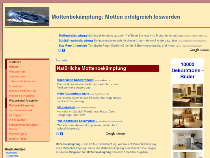 www.mottenbekaempfung.net