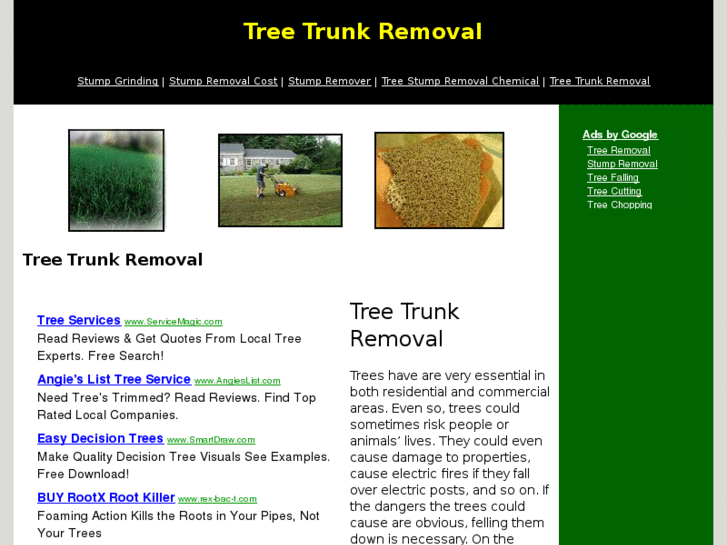 www.treetrunkremoval.org