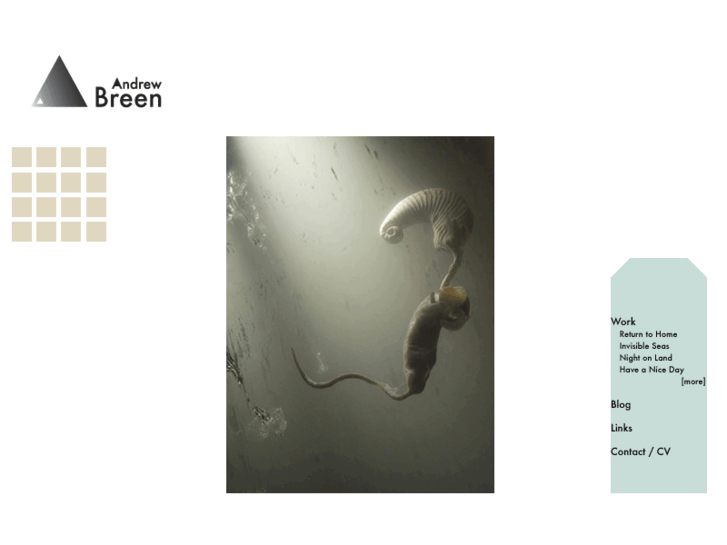 www.andrewbreen.com