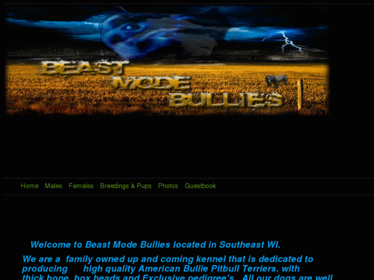 www.beastmodebullies.com