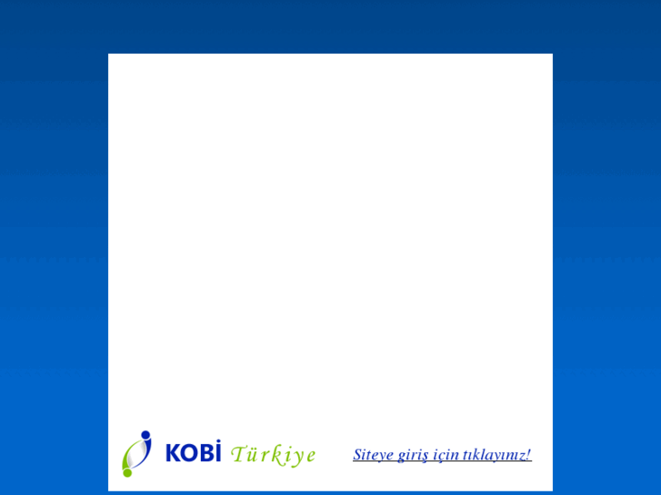 www.kobiturkiye.com