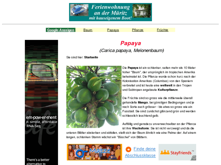 www.papaya.de