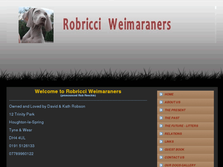 www.robricci.com