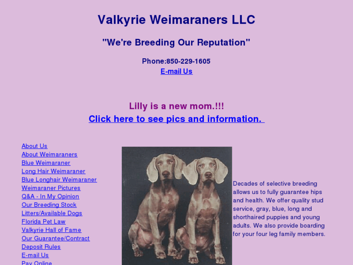 www.weimaranerdog.com