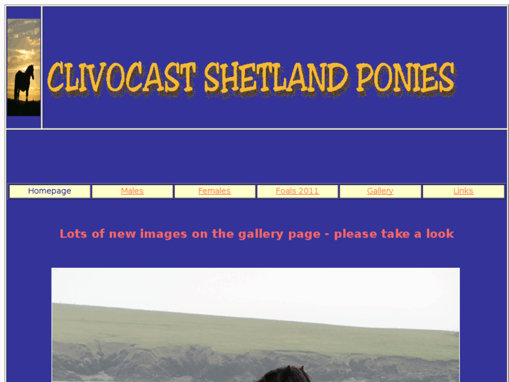 www.clivocastshetlandponies.com