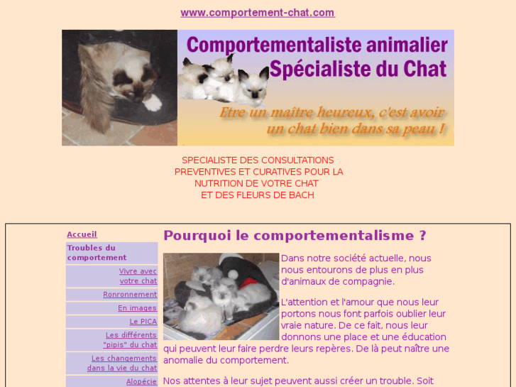 www.comportement-chat.com