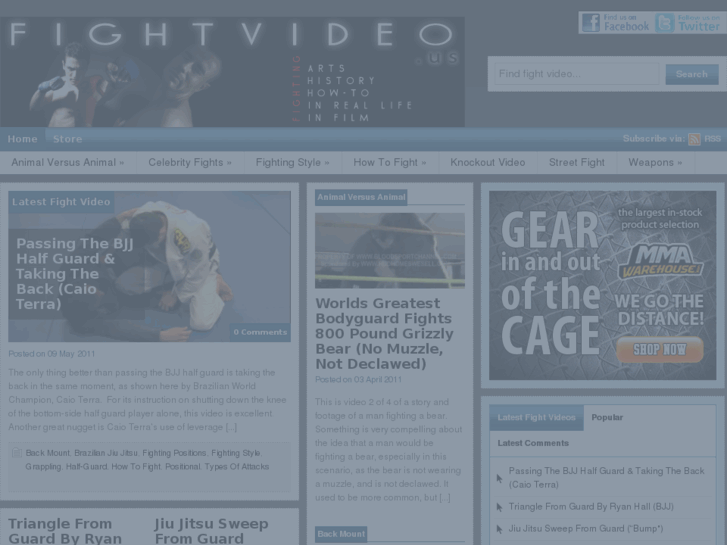 www.fightvideo.us