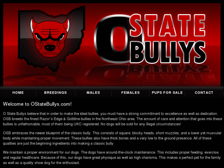 www.ostatebullys.com