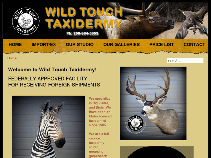 www.wildtouchtaxidermy.com