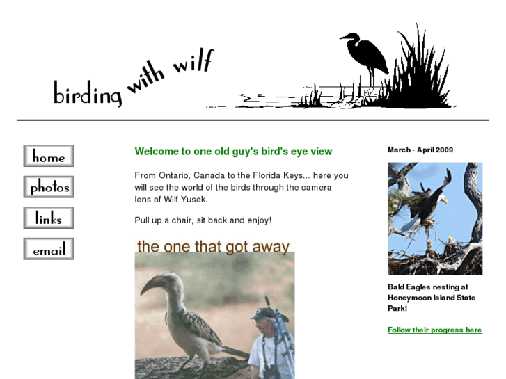 www.birdingwithwilf.com