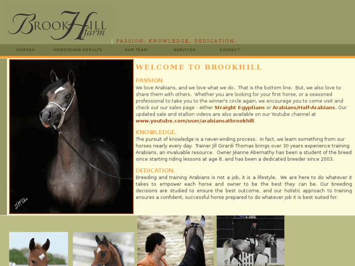 www.brookhillfarm.com