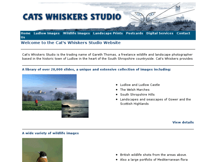 www.catswhiskersstudio.com