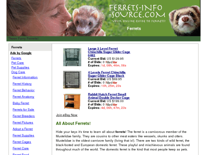 www.ferrets-info-source.com