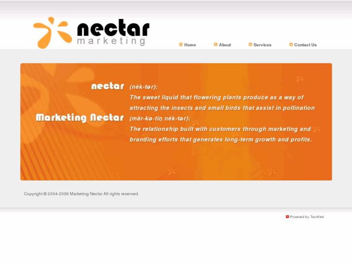 www.marketingnectar.com