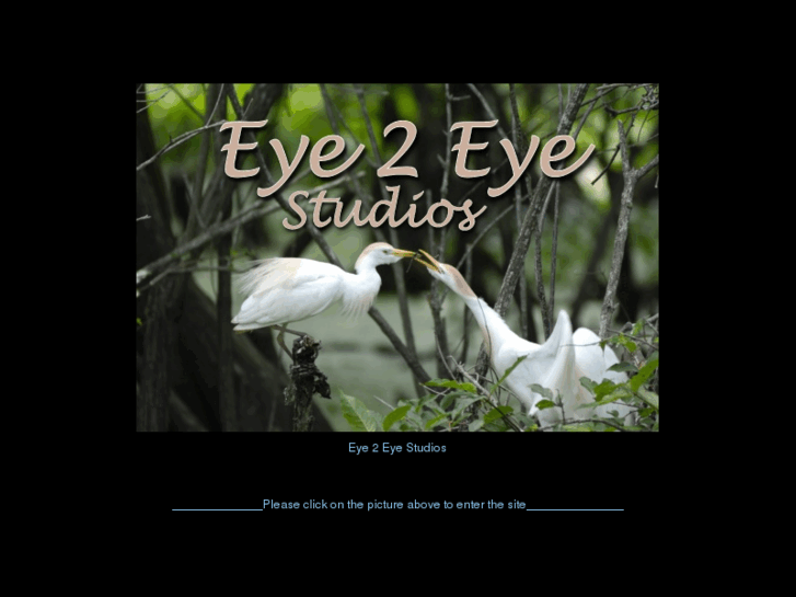 www.eye2eye-photography.com