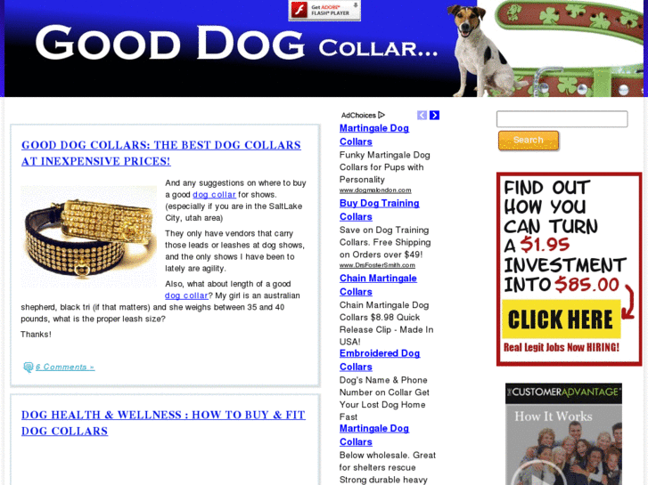 www.gooddogcollar.com