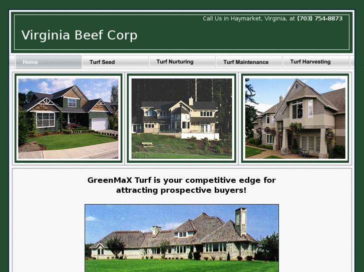 www.greenmaxturf.com