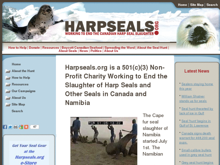 www.harpseals.org