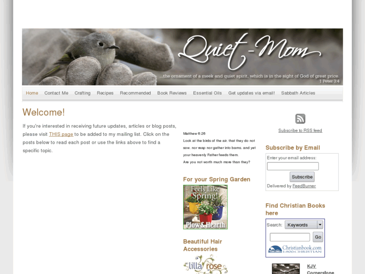 www.quiet-mom.com