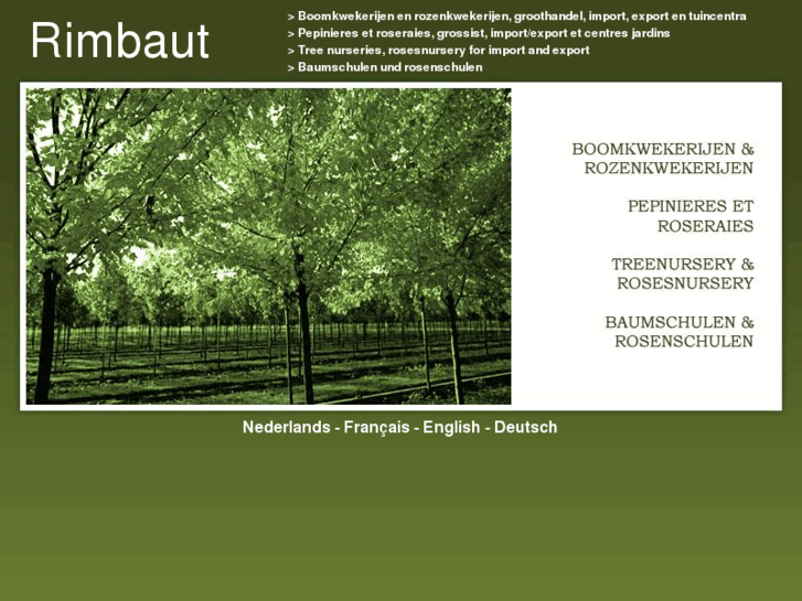 www.rimbaut.com