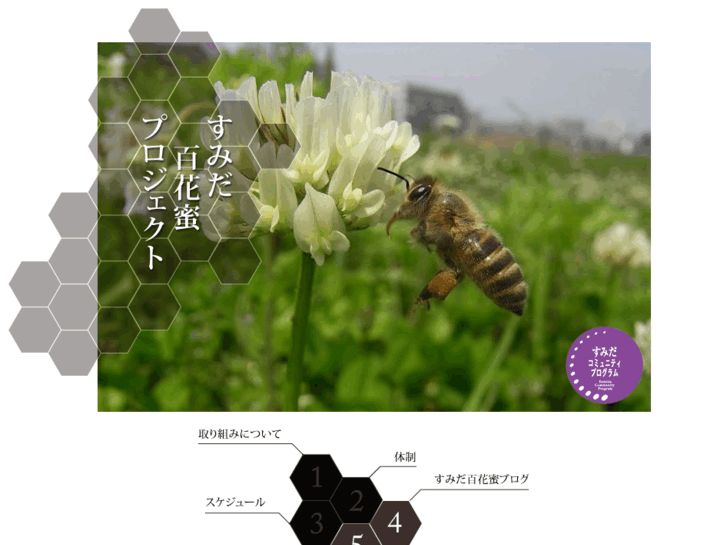 www.sumida-honey.net