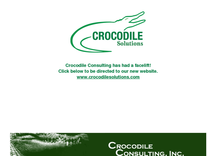 www.crocodileconsulting.com