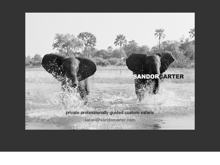 www.sandorcartersafaris.com