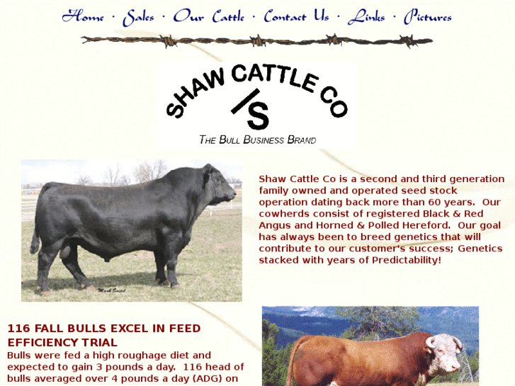 www.shawcattle.com