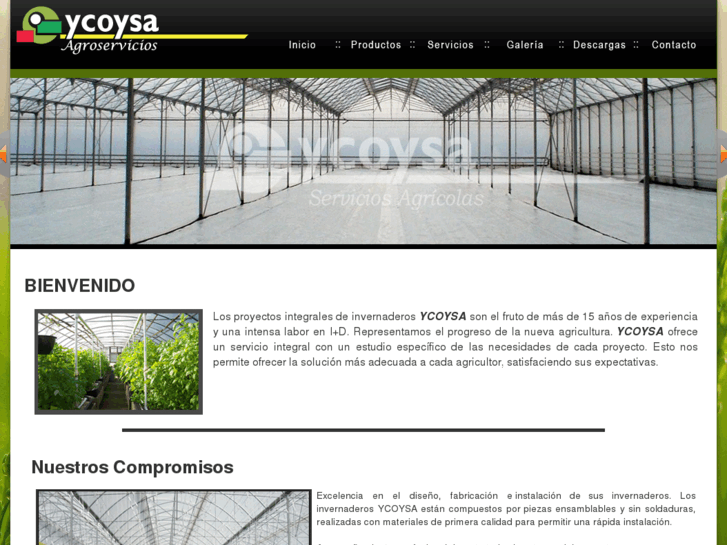 www.ycoysa.com