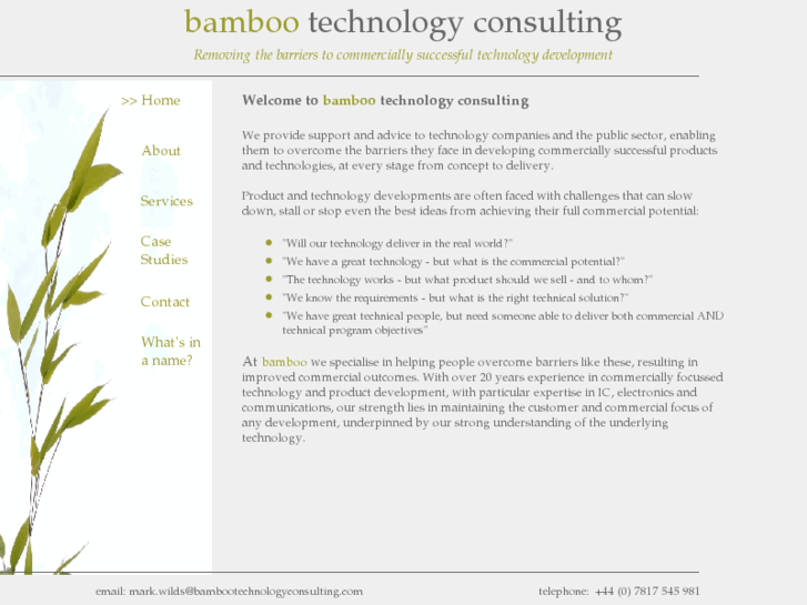 www.bambootechnologyconsulting.com