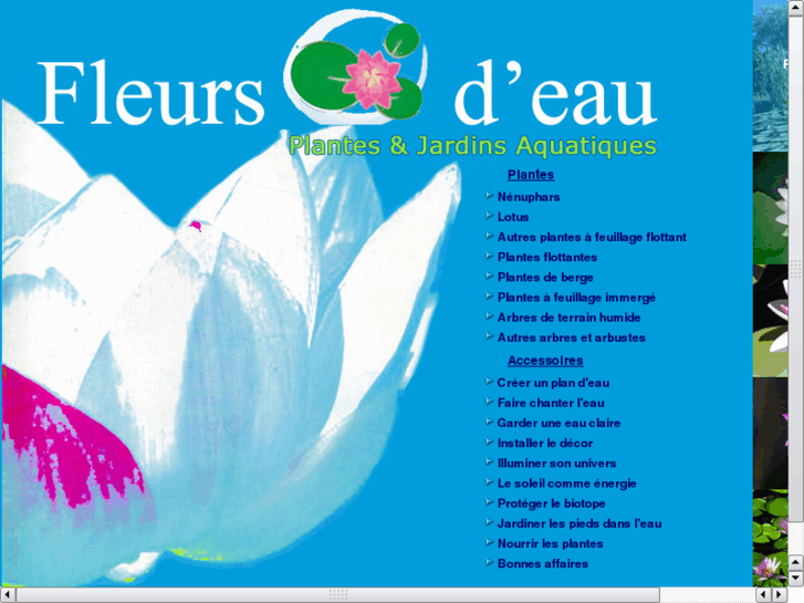 www.fleursdeau.com