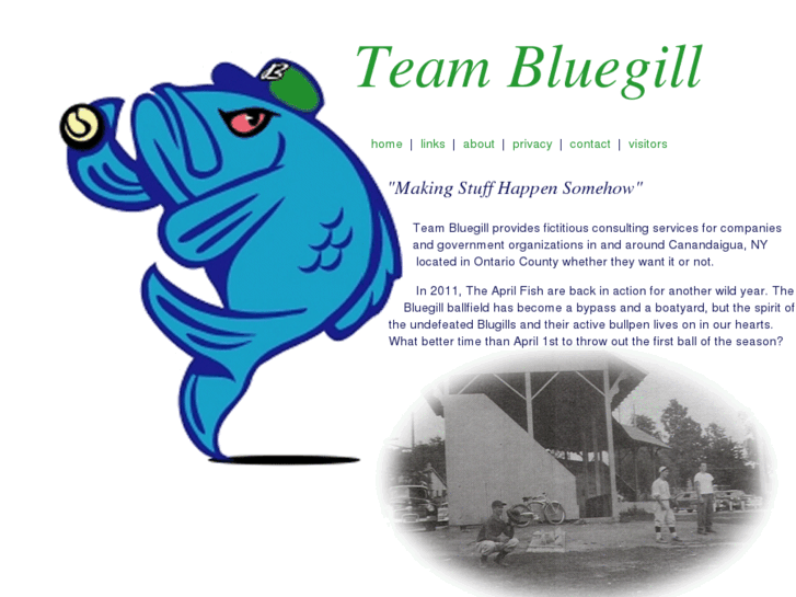 www.teambluegill.net