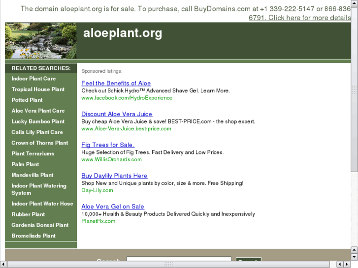 www.aloeplant.org