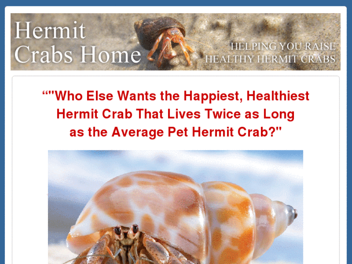 www.hermitcrabshome.com