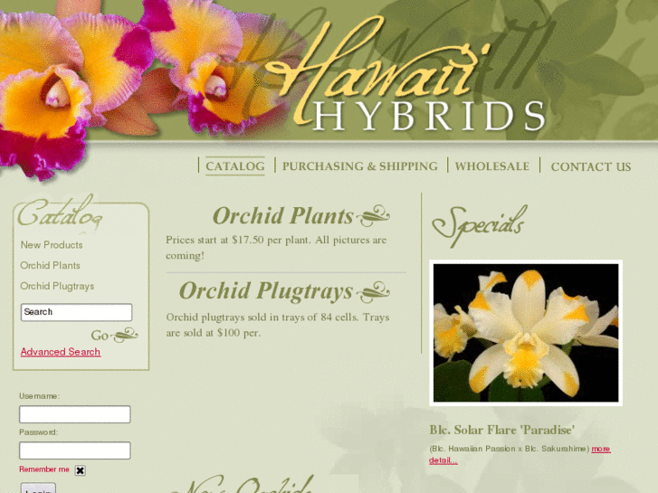 www.hihybrids.com