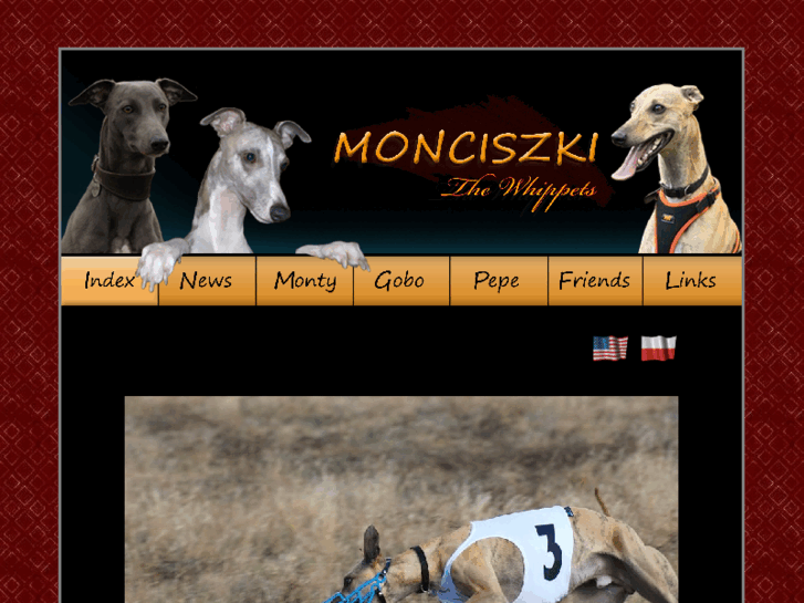 www.monciszki.com