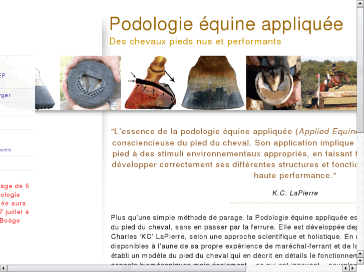 www.podologie-equine.com