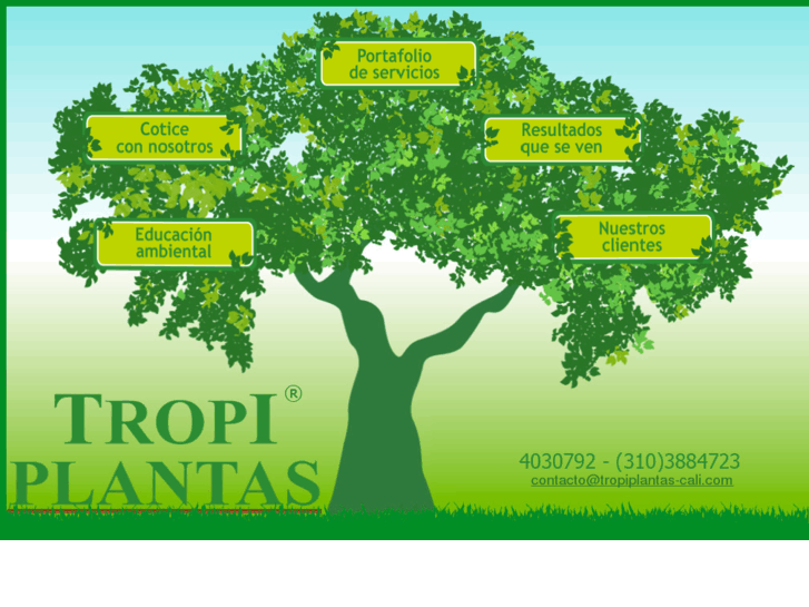 www.tropiplantas-cali.com