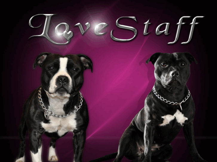 www.love-staff.com