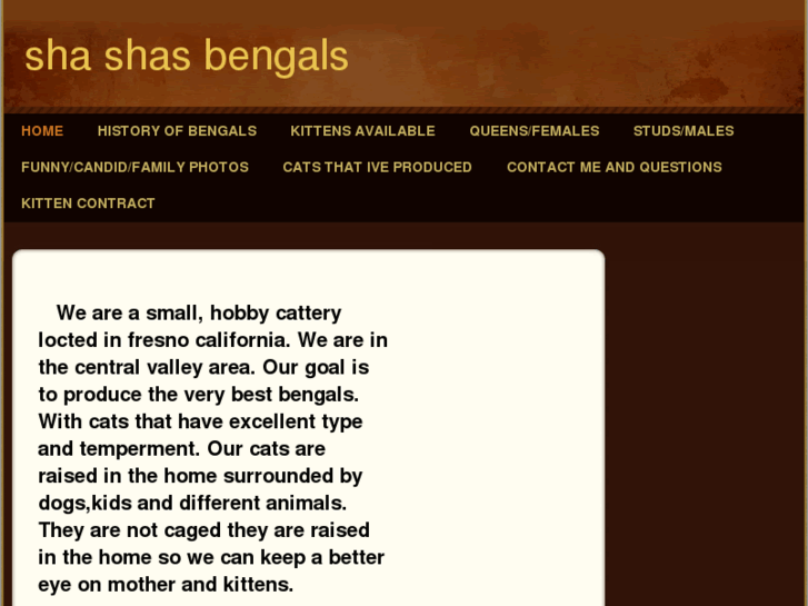 www.shashasbengals.com