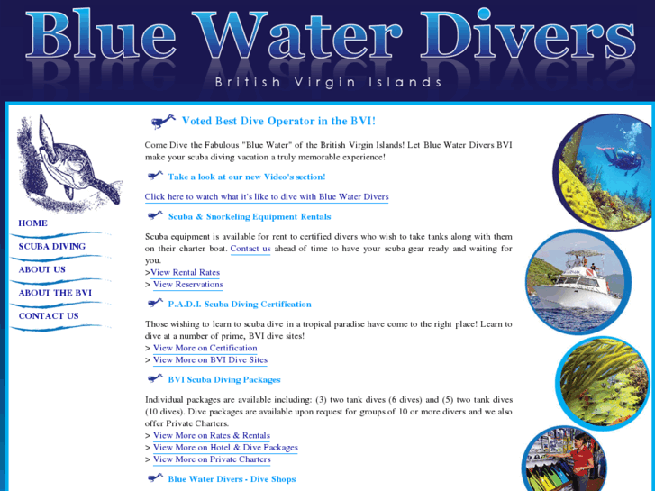 www.bluewaterdiversbvi.com